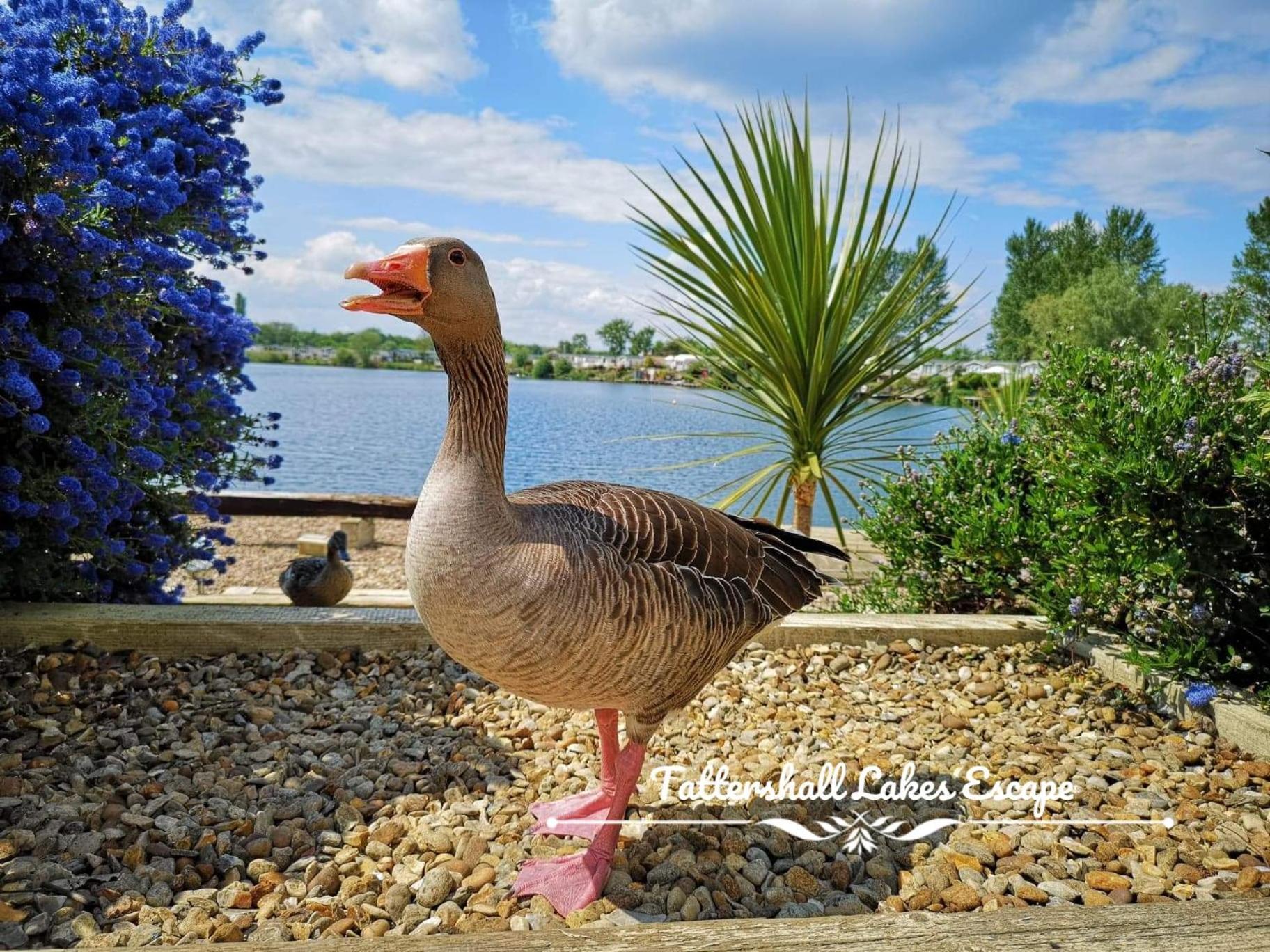 Meridian Tattershall Lakes Escape - Lakeside Lodge Caravan With A Fishing Peg Luxury Hot Tub Exterior photo