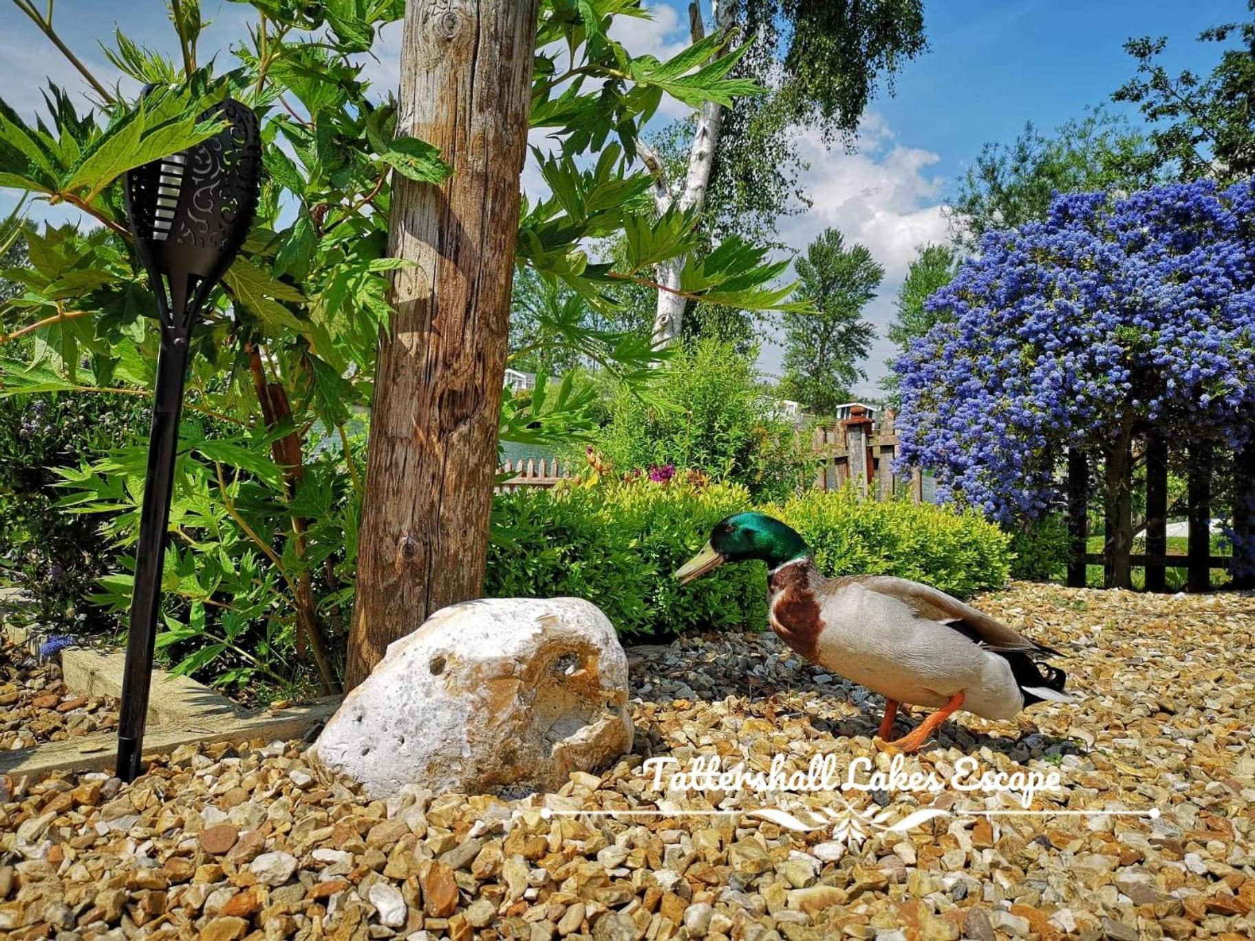 Meridian Tattershall Lakes Escape - Lakeside Lodge Caravan With A Fishing Peg Luxury Hot Tub Exterior photo